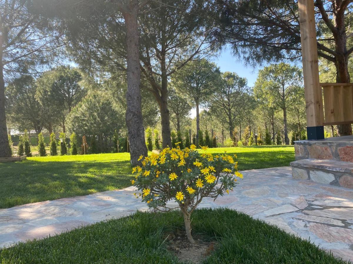 Elyada Otel Ve Bag Evi 8 Yas Ustu Bozcaada Extérieur photo